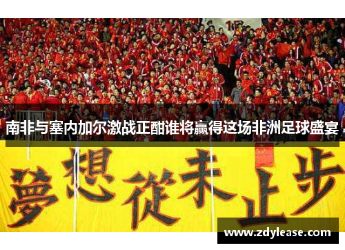 南非与塞内加尔激战正酣谁将赢得这场非洲足球盛宴