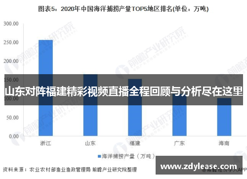 山东对阵福建精彩视频直播全程回顾与分析尽在这里
