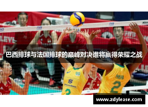 巴西排球与法国排球的巅峰对决谁将赢得荣耀之战